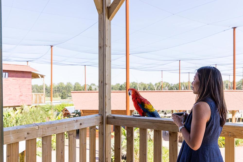 Parrot World - Les Lodges Crecy-la-Chapelle Eksteriør billede